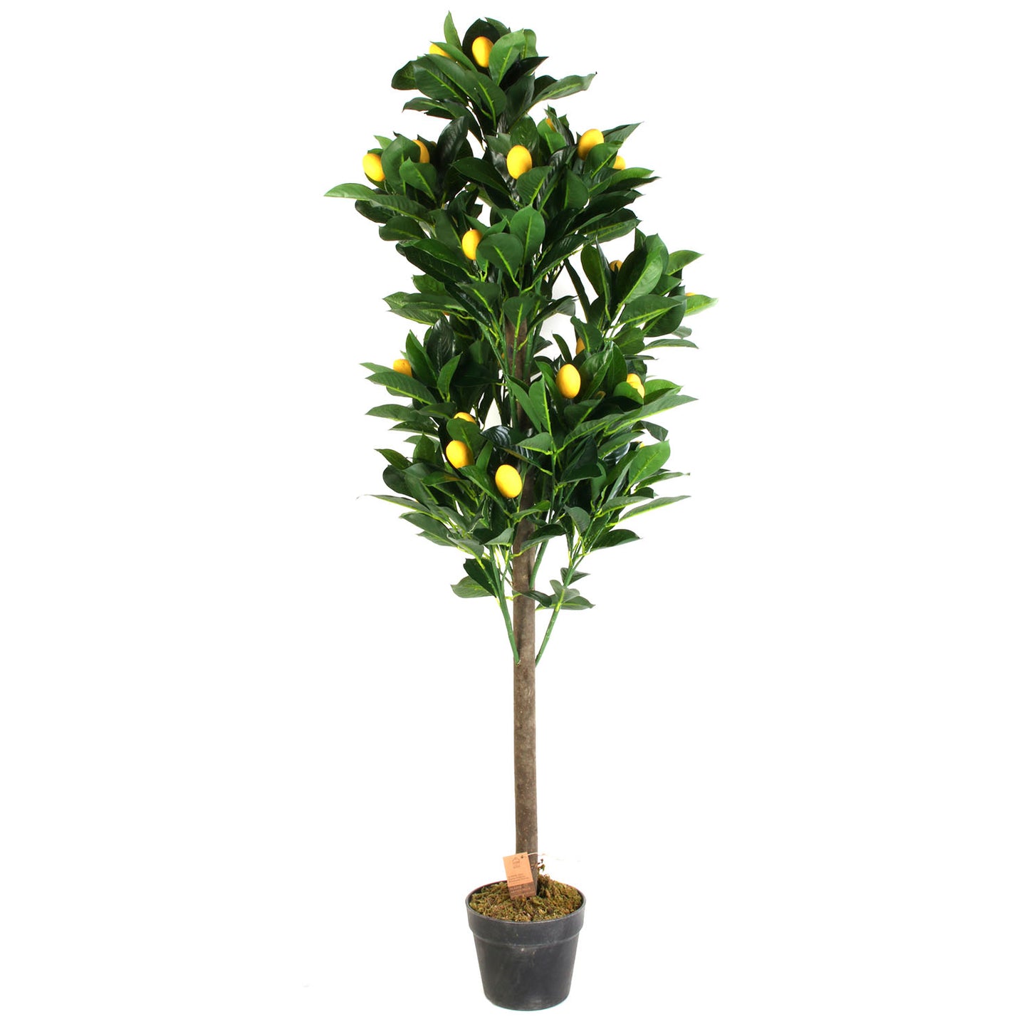 Plante Artificielle Citronnier 120C