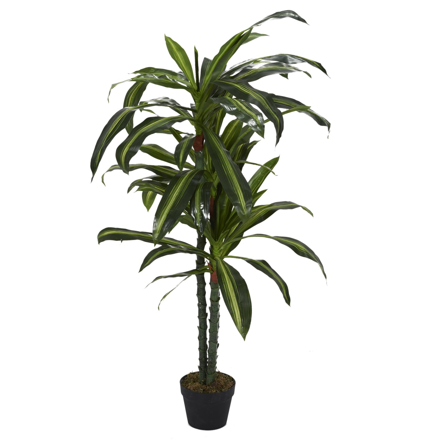 Plante Artificielle Dracaena 130Cm