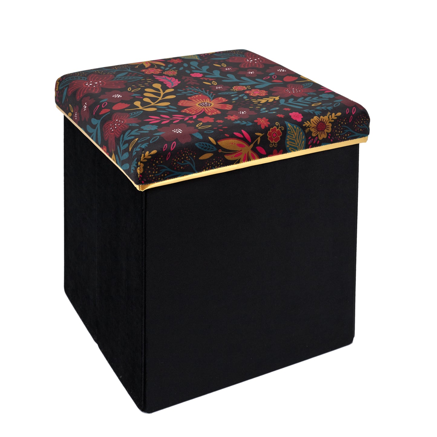 Coffre Pouf Pliable Olga